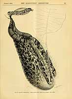  no thumbnail available