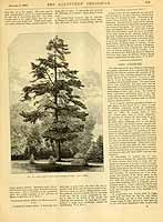  no thumbnail available