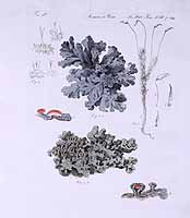  no thumbnail available