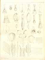  no thumbnail available