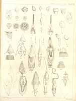  no thumbnail available