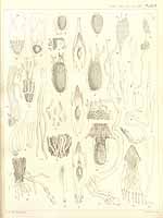  no thumbnail available