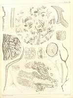  no thumbnail available