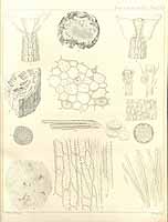  no thumbnail available