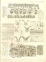  no thumbnail available