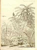  no thumbnail available