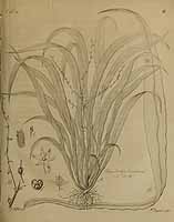  no thumbnail available