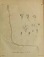  no thumbnail available