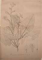  no thumbnail available