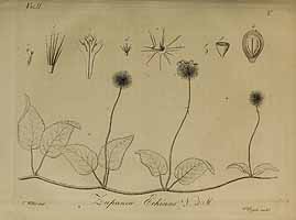  no thumbnail available