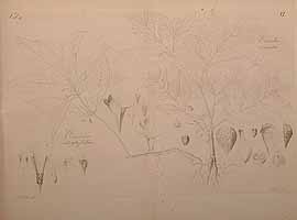  no thumbnail available