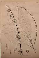  no thumbnail available