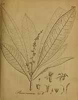  no thumbnail available