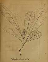  no thumbnail available