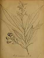  no thumbnail available