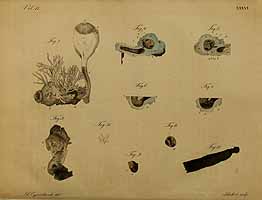  no thumbnail available