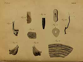  no thumbnail available