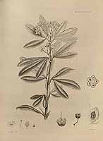  no thumbnail available