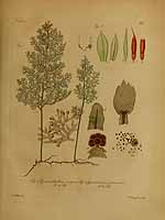  no thumbnail available