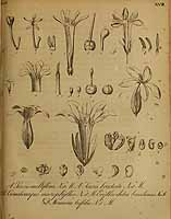  no thumbnail available