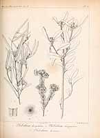  no thumbnail available