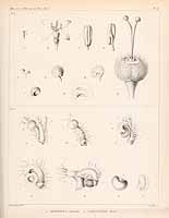  no thumbnail available