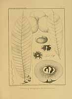  no thumbnail available