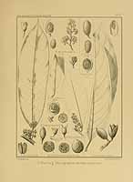  no thumbnail available