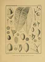  no thumbnail available