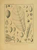  no thumbnail available