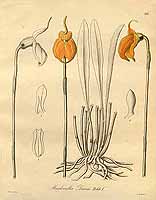  no thumbnail available