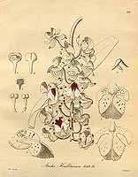  no thumbnail available