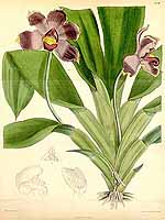  no thumbnail available