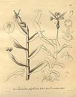  no thumbnail available