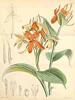  no thumbnail available