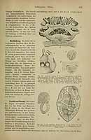  no thumbnail available