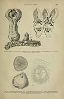  no thumbnail available