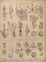  no thumbnail available