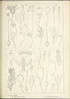  no thumbnail available