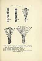  no thumbnail available