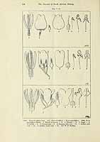  no thumbnail available