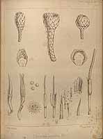  no thumbnail available