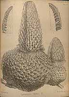  no thumbnail available