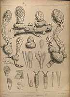  no thumbnail available