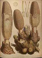  no thumbnail available