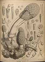  no thumbnail available