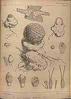  no thumbnail available