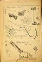  no thumbnail available