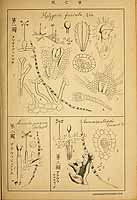  no thumbnail available