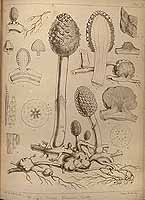  no thumbnail available